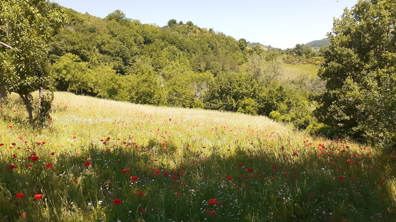 Agriturismo Marcofrate, A Retreat In The Nature Valtopina Extérieur photo