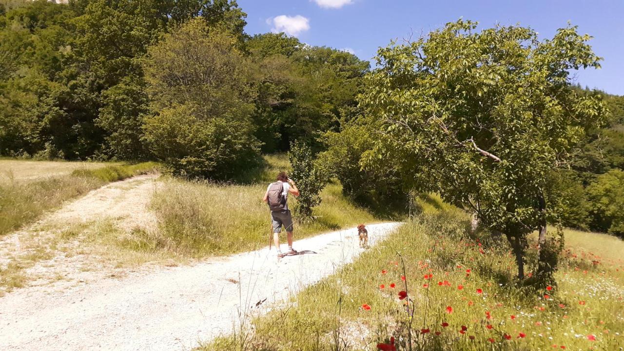 Agriturismo Marcofrate, A Retreat In The Nature Valtopina Extérieur photo